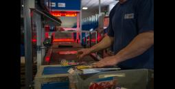 Resa Stampa Martini Dumas